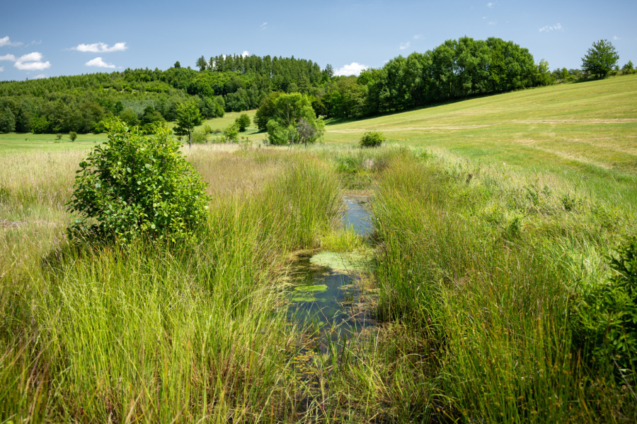 Adapterra Awards 2026 otevírá nominace. Ocení i nejlepší projekty z Moravskoslezského kraje