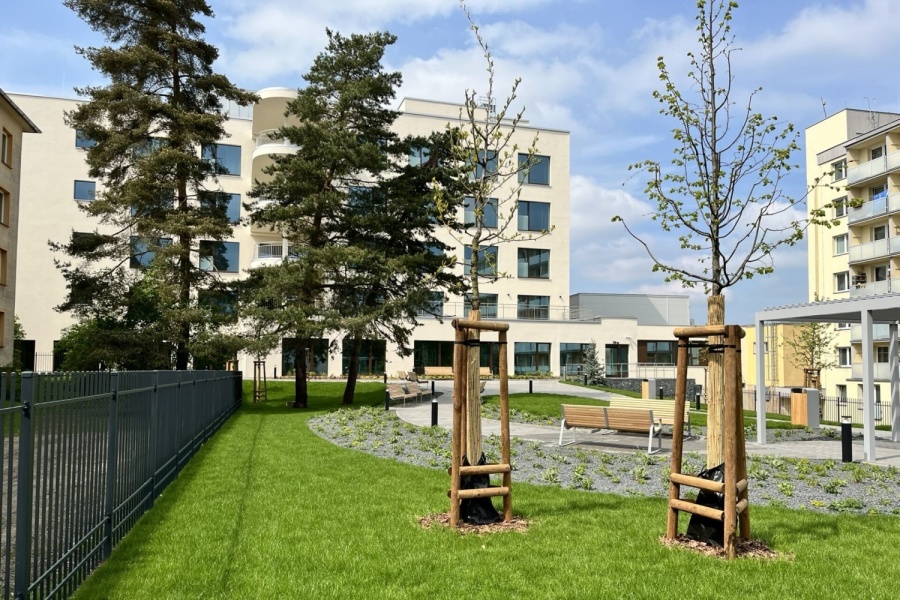 Kraj podpoří zelené projekty svých organizací. Mezi nemocnice, školy nebo domovy rozdělí 10 milionů korun